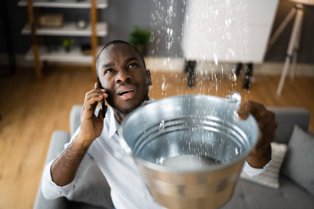 Best Basement water damage restoration  in New Concord, OH