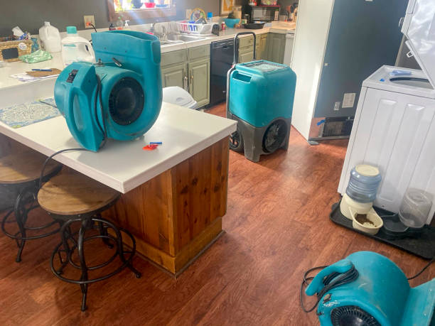 Best Professional water damage repair  in New Concord, OH