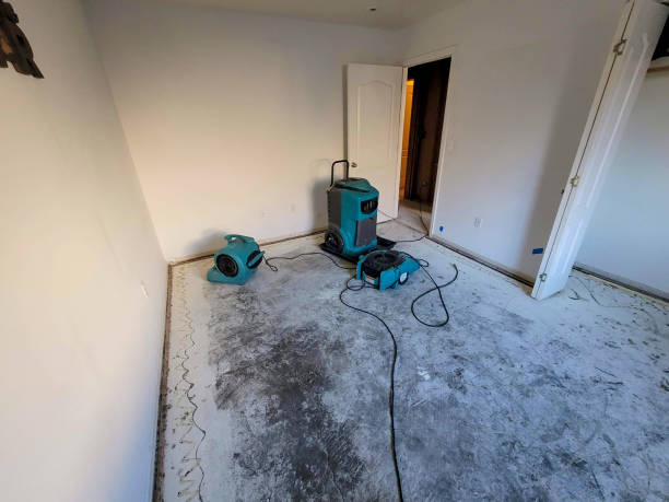 Best Water damage restoration near me  in New Concord, OH