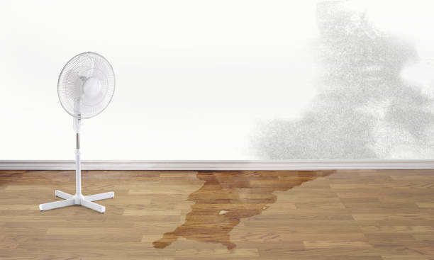 Best Water damage restoration insurance claims  in New Concord, OH