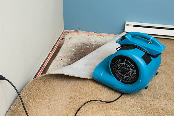 Best Local water damage restoration  in New Concord, OH