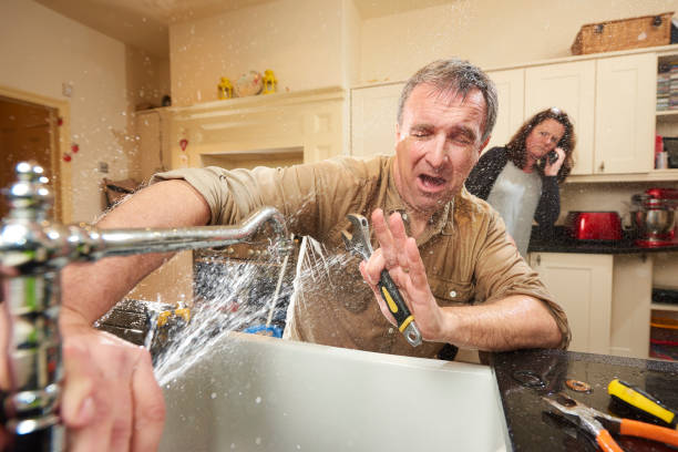 Best Professional water damage repair  in New Concord, OH